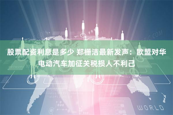 股票配资利息是多少 郑栅洁最新发声：欧盟对华电动汽车加征关税损人不利己